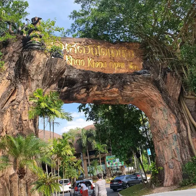 카오키여우 오픈 주 :: 원숭이들이 뛰어 노는 태국 동물원