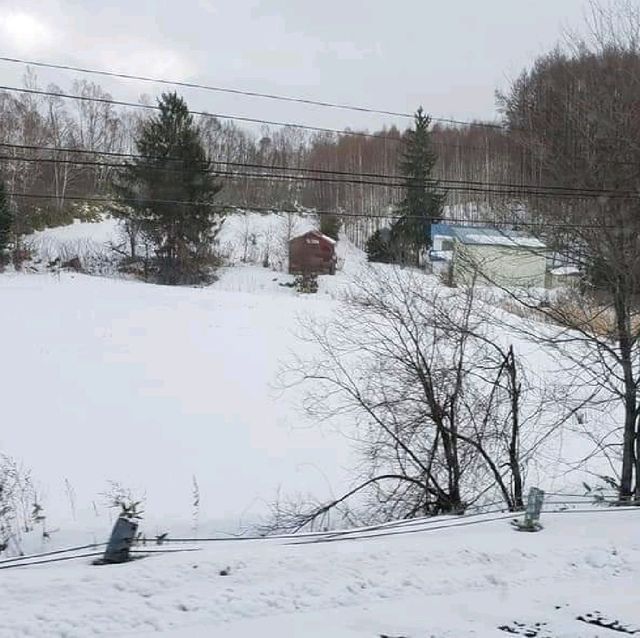 北海道白金溫泉