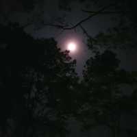 กางเตนท์อุทยานแห่งชาติตากสินมหาราช