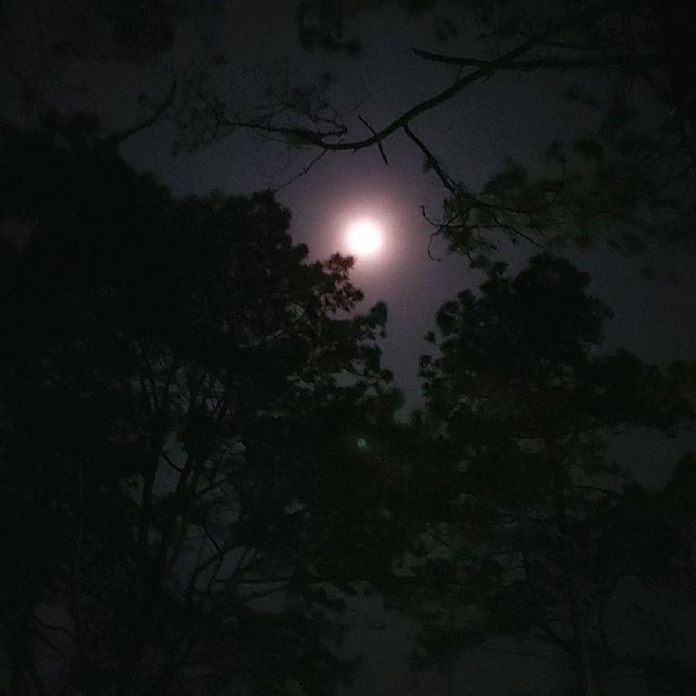 กางเตนท์อุทยานแห่งชาติตากสินมหาราช