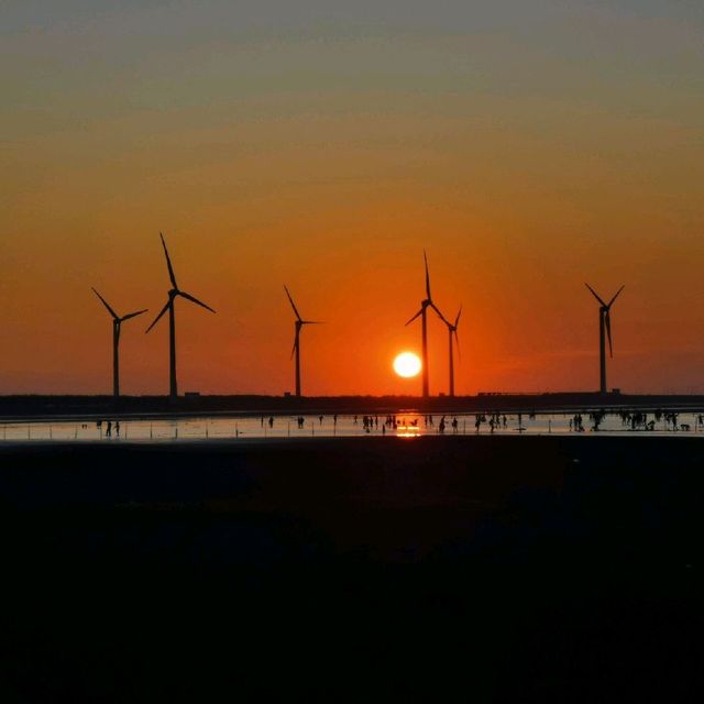 breathtaking Gaomei wetlands