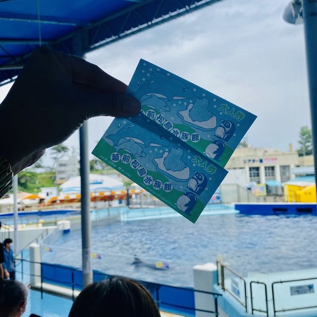 AQUARIUM PLACE 