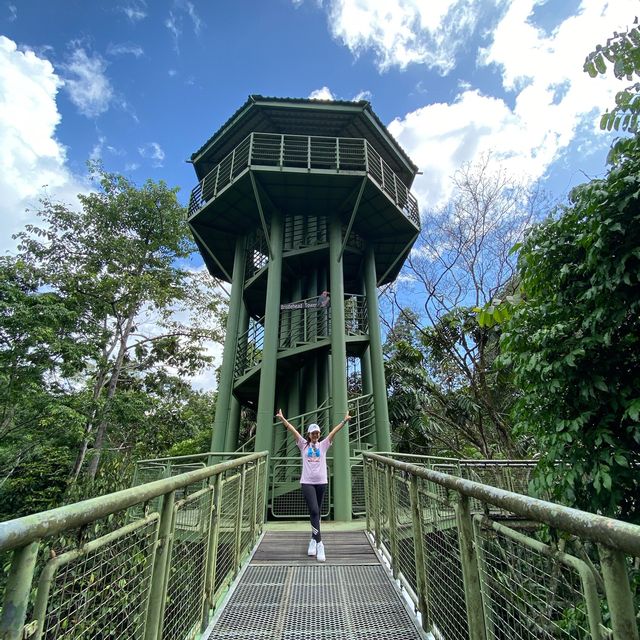 Sepilok Rainforest Discovery Centre 