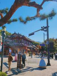전주 한옥마을 거리 🍁 단풍 피크닉