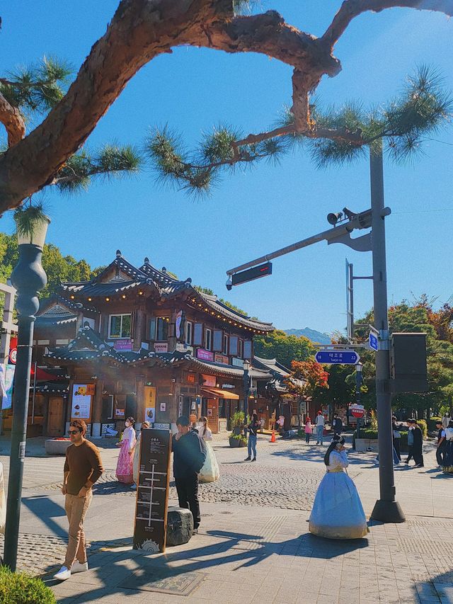 전주 한옥마을 거리 🍁 단풍 피크닉