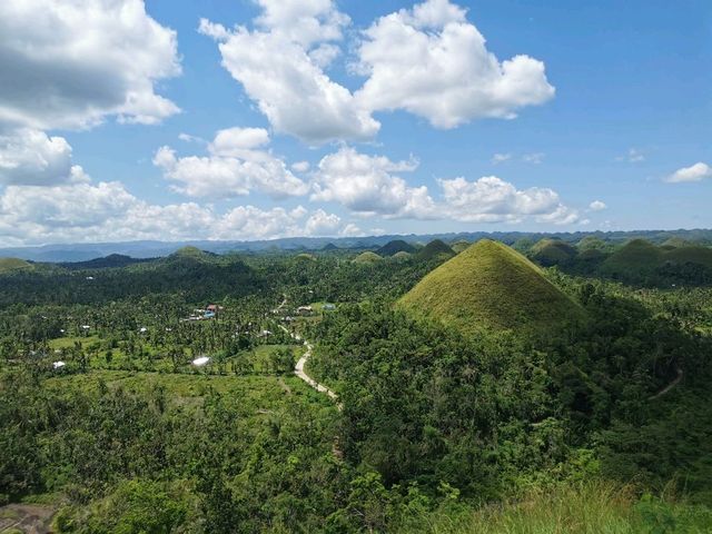 Chocolate Hills