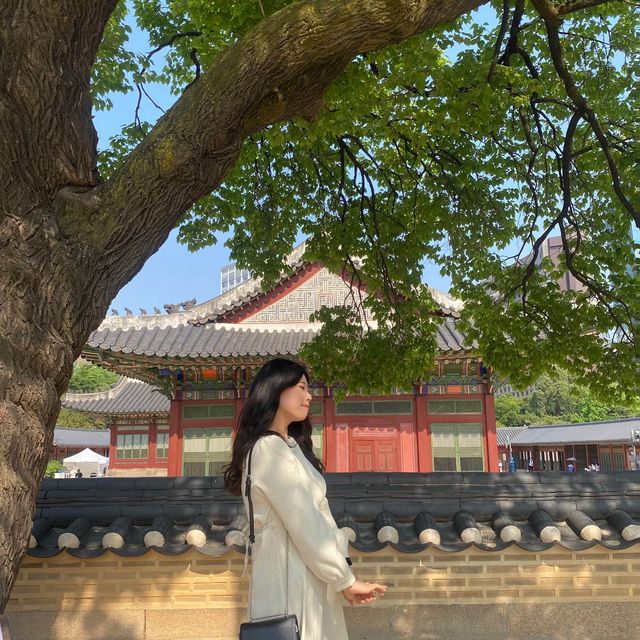 한옥과 근대식 건물을 모두 구경 가능한 서울 덕수궁 나들이👐