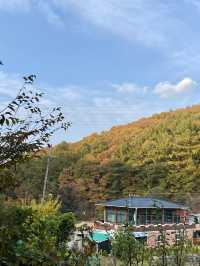 가을에는 글램핑이쥐 ! 용인 글램핑장, 메이폴릭 🍂🔥