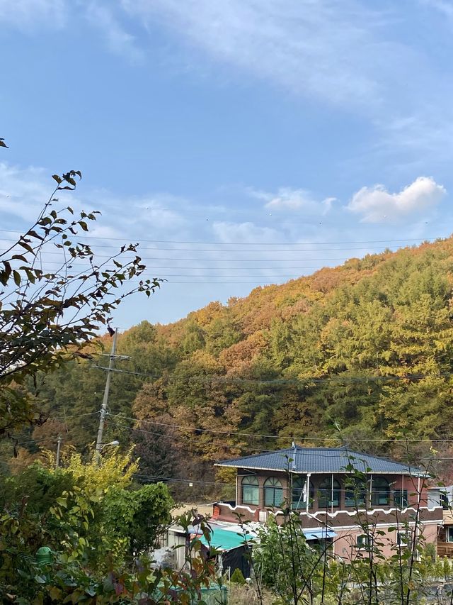 가을에는 글램핑이쥐 ! 용인 글램핑장, 메이폴릭 🍂🔥