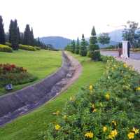 แวะชมความงามอุทยานหลวงราชพฤกษ์