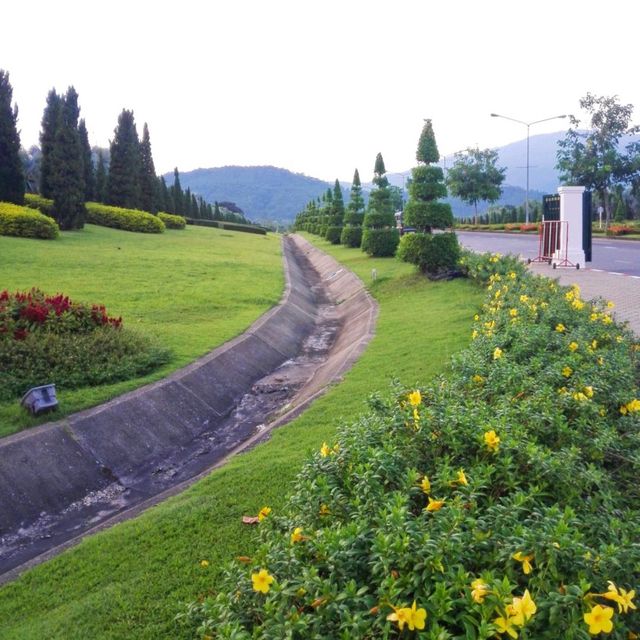 แวะชมความงามอุทยานหลวงราชพฤกษ์