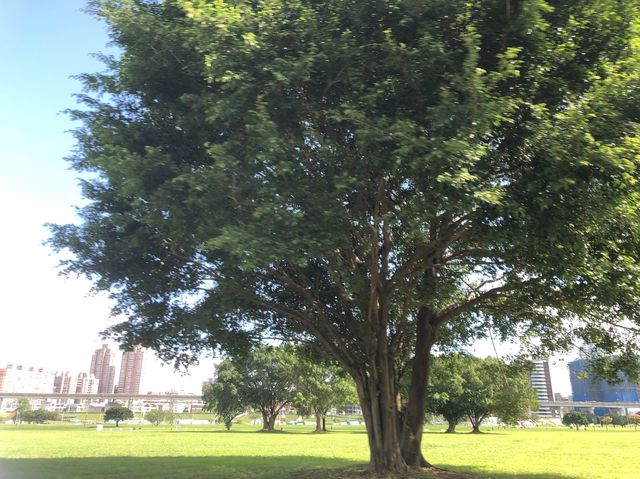 新北超大親子公園🎢⛱️ New Taipei Metropolitan Park 新北大都會公園