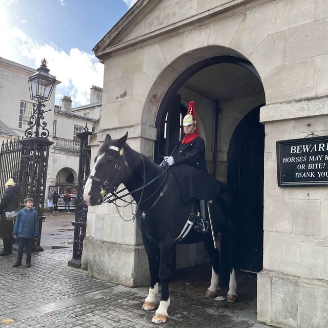 Huge horse 🐎 