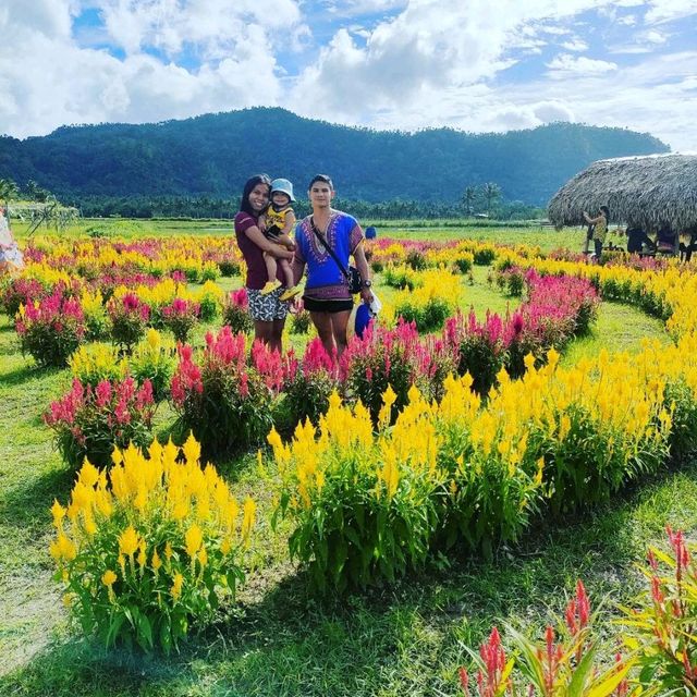 #D' Green Thumb Flower Garden. 