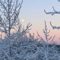 -50 Fahrenheit is very common here