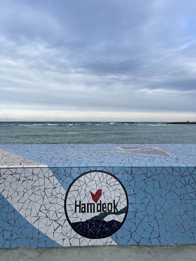 함덕 해변 🏝️ 사진 찍기 좋은 곳