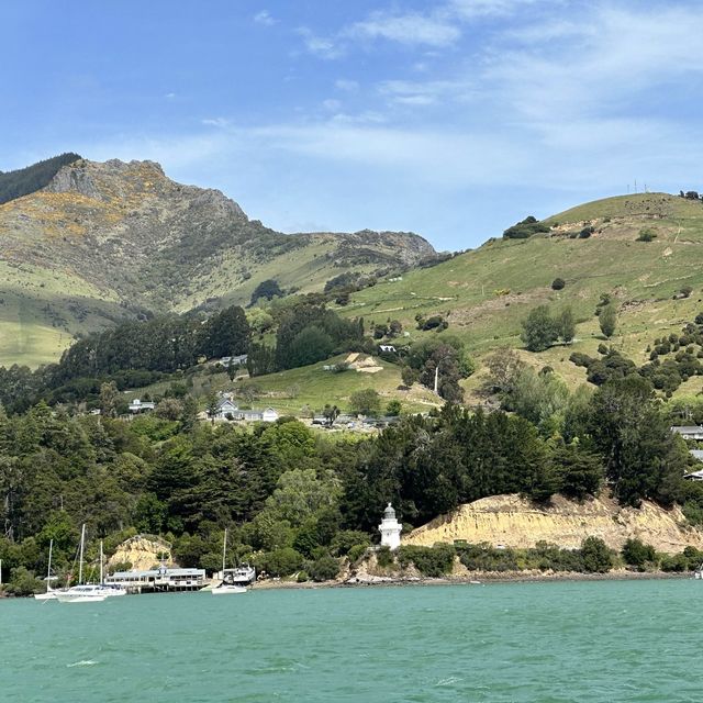 NZ 阿卡羅阿 法國小鎮
