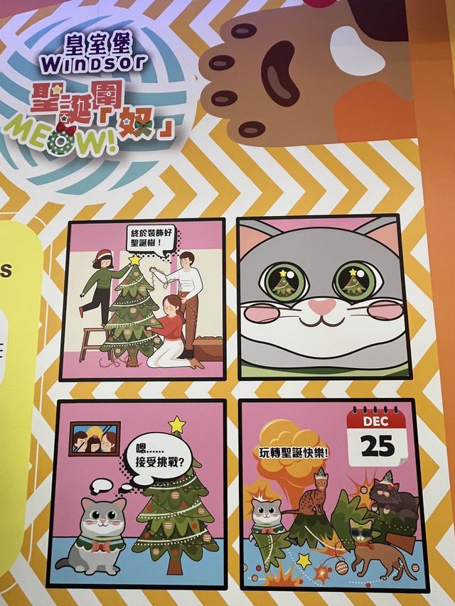 貓奴們必到皇室堡貓貓紙箱市集 貓奴們必到皇室堡貓貓紙箱市集