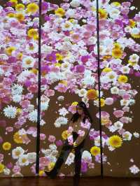 경복궁 국립고궁박물관, 안녕 모란🌺