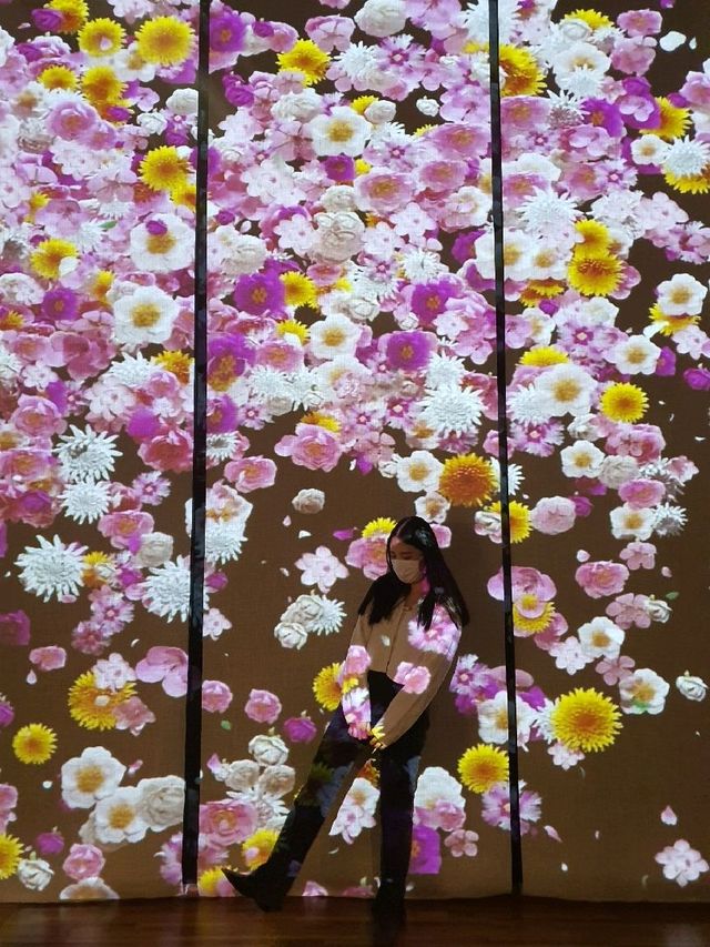 경복궁 국립고궁박물관, 안녕 모란🌺