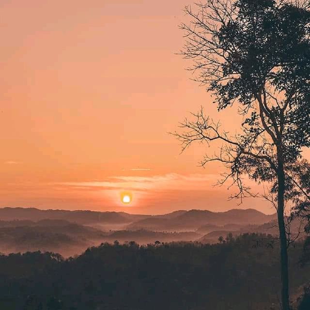 “ ห้วยต้นไฮ “🌲🌲🌲🌲🌲