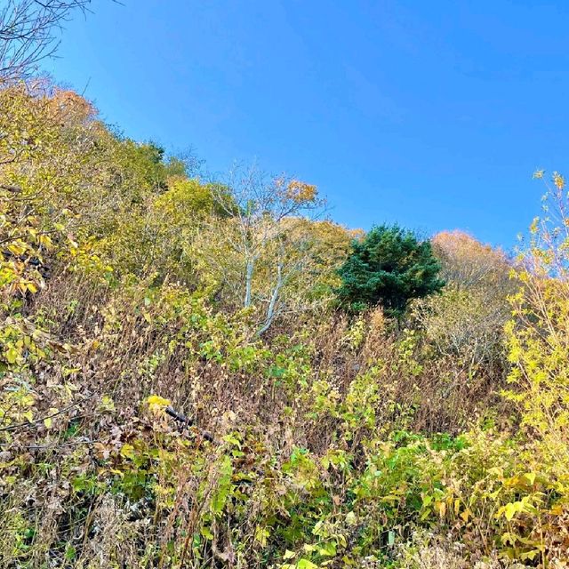 利尻島 穴場の湧水スポット