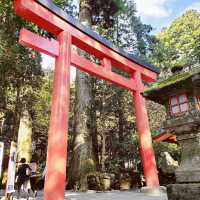 【神奈川県】箱根神社