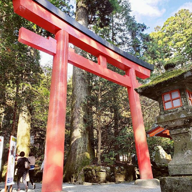 【神奈川県】箱根神社