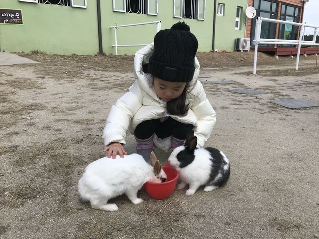 강릉 아기동물농장 아이와 함께 동물교감