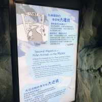 北極之旅
