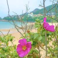 하루종일 탁 트인 바다를 보고싶다면 이 곳 ! 🌊