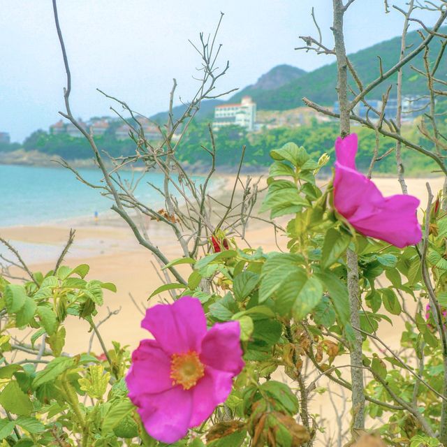 하루종일 탁 트인 바다를 보고싶다면 이 곳 ! 🌊