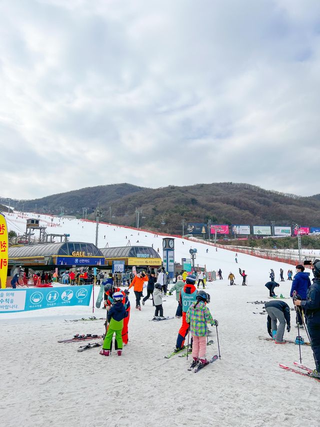곤지암리조트 스키장 리프트권 겨울스키 즐기기