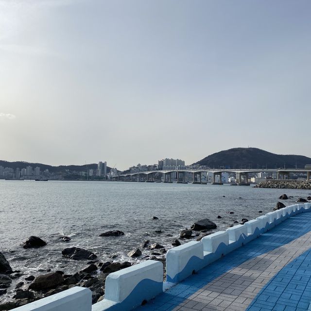 부산여행에서 꼭 가야하는 곳 ✨