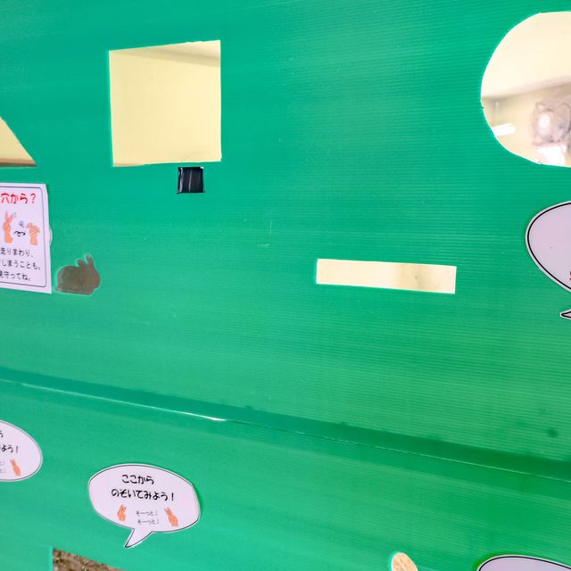 円山動物園のドサンコの森のウサギエリア