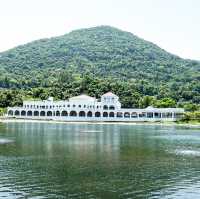 打卡位 小白鷺餐廳
