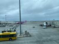 南国ムード漂う那覇空港