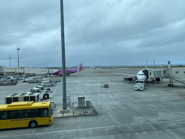 南国ムード漂う那覇空港