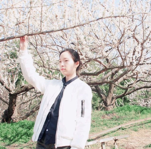 매화가 만개하는 광양매화마을의 풍경🌸