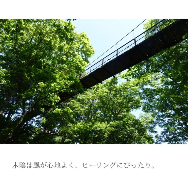 【北海道】名水百選の湧き水を汲める公園