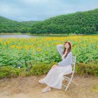 🌻[경주 카페, 바실라]에서 인생사진 찍는 꿀팁 한스푼🍯