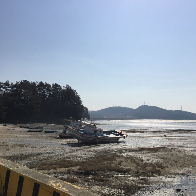 Fill your cup! 서산 감성 카페 
