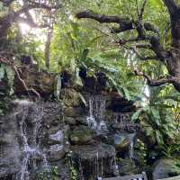 โอโซนดีคาเฟ่ นครศรีธรรมราช