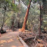 One Of The Top 10 Hiking Spots In US