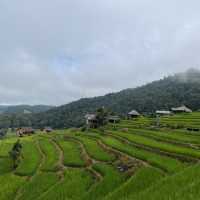 นาขั้นบันได ป่าบงเปียง, Chiangmai, Thailand 