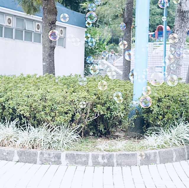 香港仔水塘