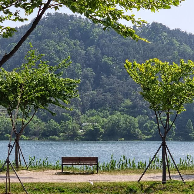 셀프웨딩, 캠핑 장소 추천! 양산 황산공원