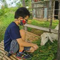 บรรยากาศชิลกับวิวทุ่งนา@Montreux café and farm