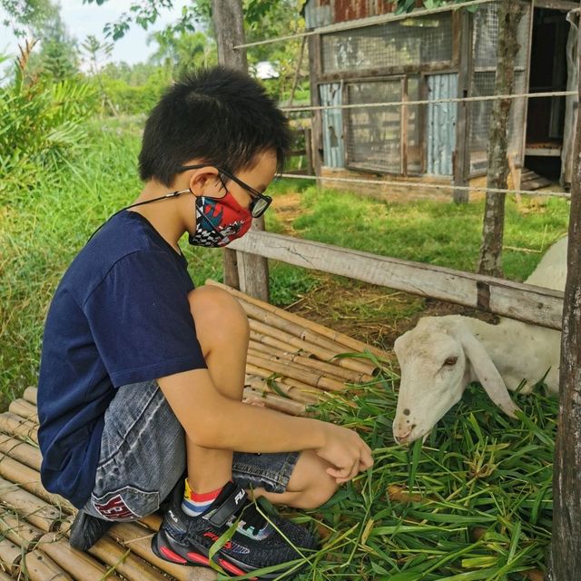บรรยากาศชิลกับวิวทุ่งนา@Montreux café and farm