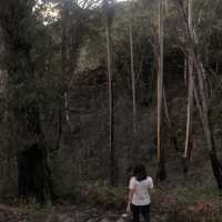 glasshouse hiking 
